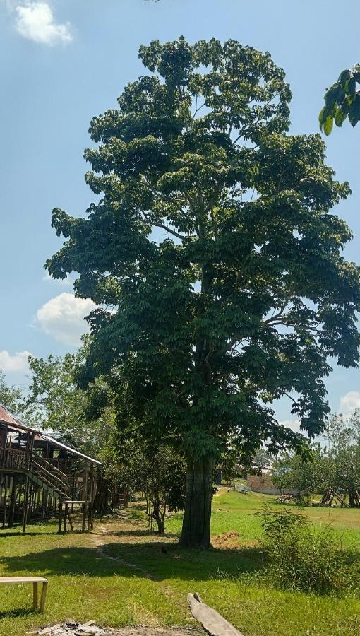 Casa Kukama Lodge إكيتوس المظهر الخارجي الصورة